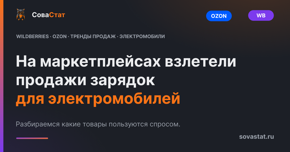 На маркетплейсах взлетели продажи зарядок для электромобилей